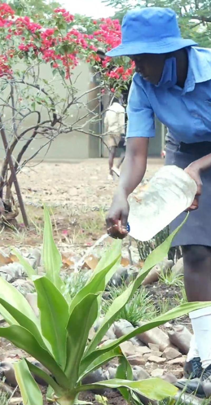Four children in blue clothing tend to a garden