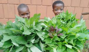 Two young African children hold up large bunches of green leafy vegetables